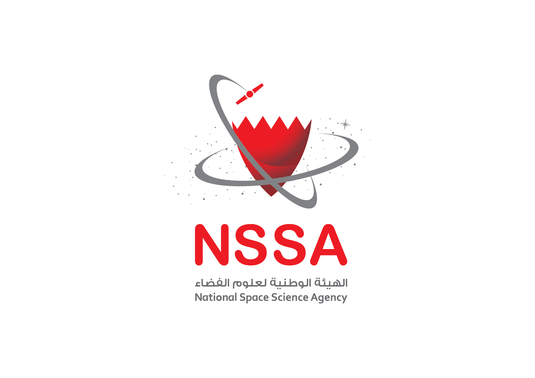 7 - NSSA.png